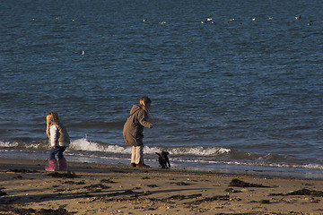 Image showing Children playing on beach with puppy dog 1