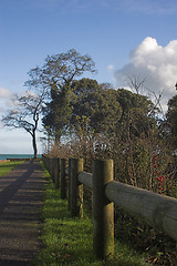 Image showing Coastal path