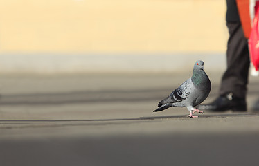 Image showing Urban walkers