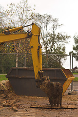 Image showing Digger arm with dumpster behind