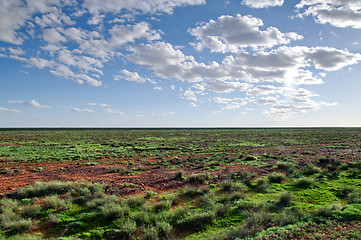 Image showing desert after rain