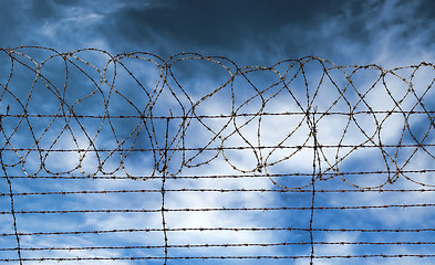 Image showing barbed wire jail or gaol fence