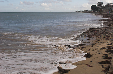 Image showing Shoreline with beach,seaweed & pebbles