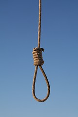 Image showing hang knot