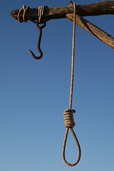 Image showing hang knot