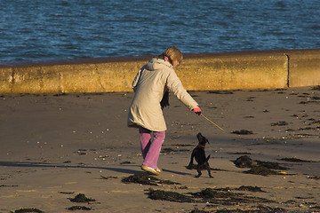 Image showing Woman playing with puppy on beach
