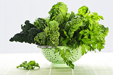 Image showing Dark green leafy vegetables in colander