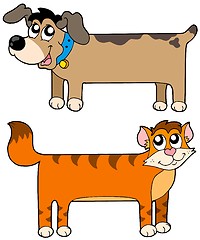 Image showing Flat cat and dog