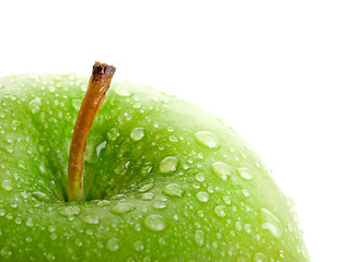 Image showing Fresh Apple