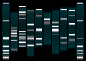 Image showing dna white