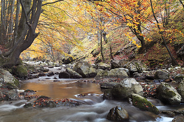 Image showing Autumn river