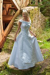 Image showing Bride on the mill