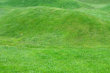 Image showing Close up image of fresh spring green grass