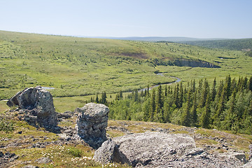 Image showing Green northern valley