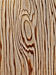 Image showing Wood pattern