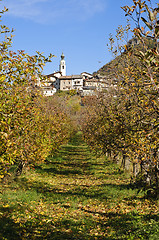 Image showing Path leading to the village