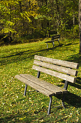 Image showing Empty park bench