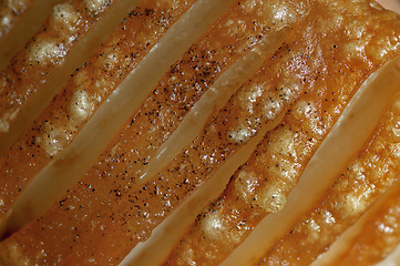 Image showing Macro closeup of roast pork crackling