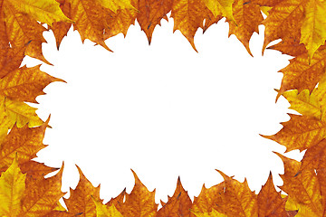 Image showing Autumn leaves frame