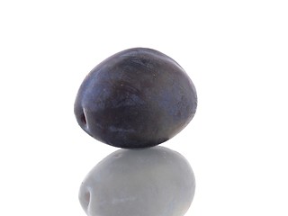 Image showing Plum