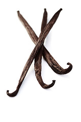 Image showing Vanilla Beans