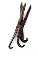 Image showing Vanilla Beans