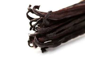 Image showing Vanilla Beans