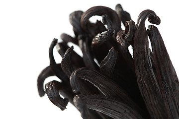 Image showing Vanilla Beans