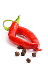 Image showing  red cayenne and black pepper