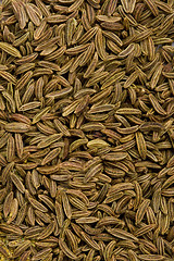 Image showing caraway seeds