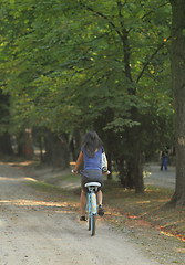 Image showing Woman Riding A Bicycle