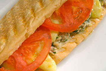 Image showing tuna tomato and cheese grilled panini sandwich