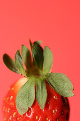 Image showing half strawberry