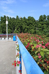 Image showing overbridge with green plants