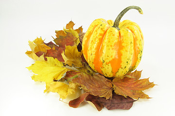 Image showing Autumn etude with pumpkin. 