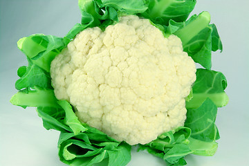 Image showing Cauliflower. 