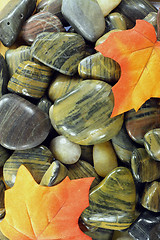 Image showing Fall motive with River stones. 