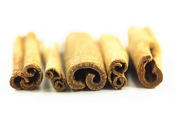 Image showing Group of Cinnamon sticks. 