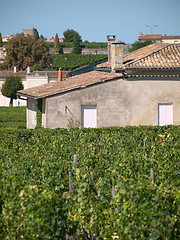 Image showing House  in vineyards