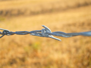 Image showing Barbed Wire