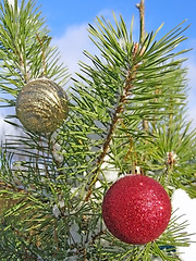 Image showing Christmas tree and sky