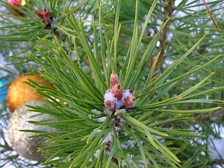 Image showing Christmas tree buttons