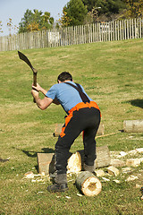 Image showing Woodcutter