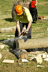 Image showing Woodcutter