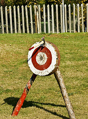 Image showing Axe on target