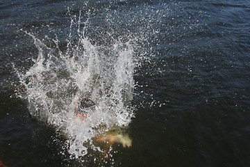 Image showing Diving