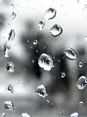 Image showing Rain drops