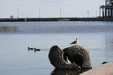 Image showing Seashore