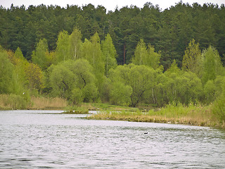 Image showing rural lake