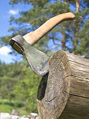 Image showing Axe in nature